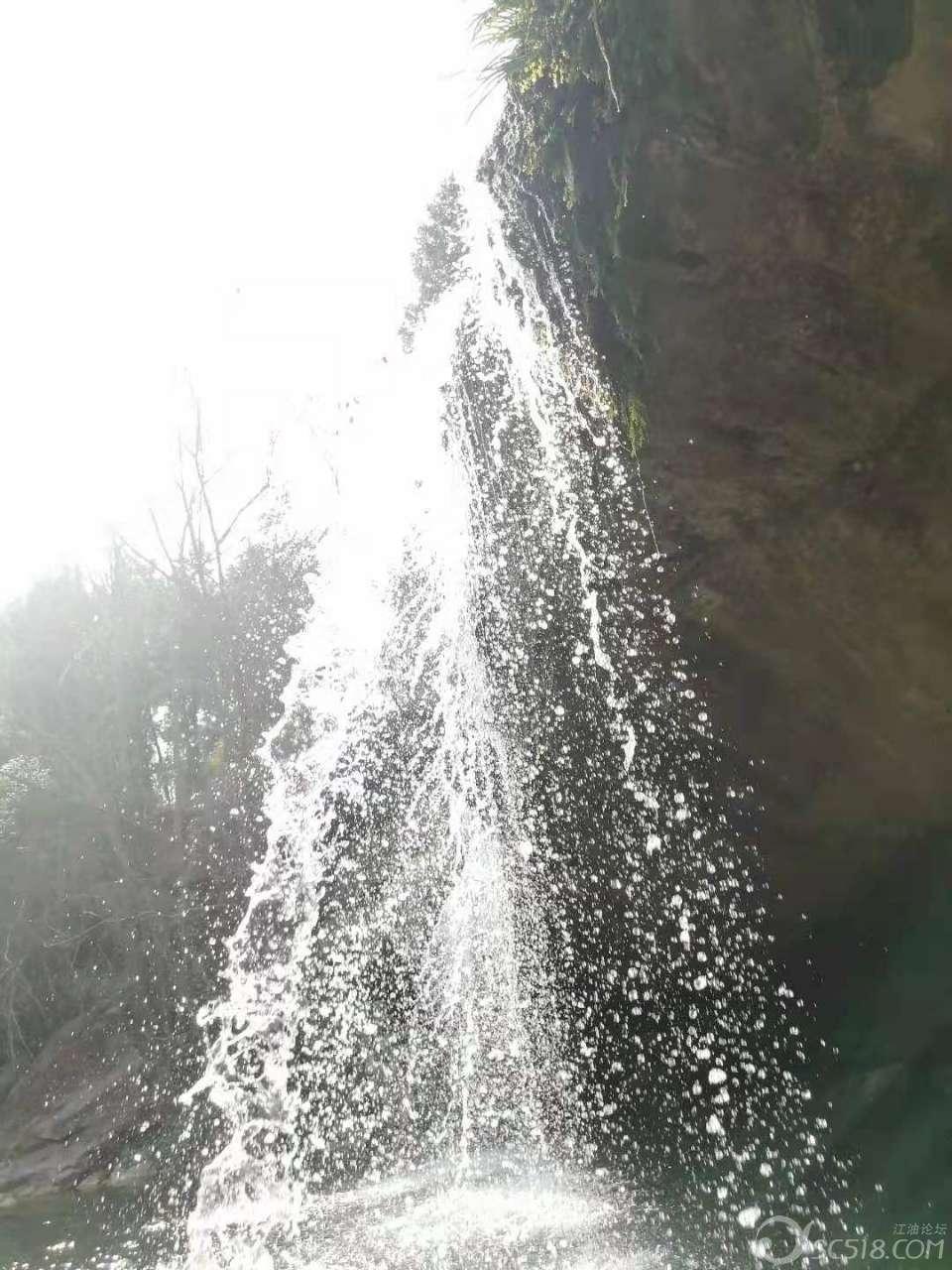 青海供销系统综合实力稳步提升
